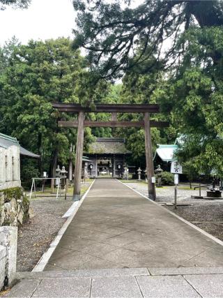 若狭姫神社の参拝記録(こうじさん)