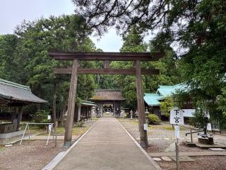 若狭姫神社の参拝記録(ひくさん)