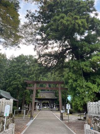 若狭姫神社の参拝記録(ちゃちさん)