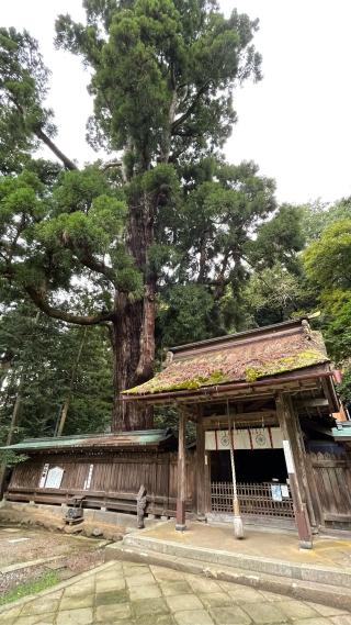 若狭姫神社の参拝記録(マコトさん)