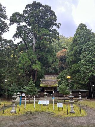 若狭姫神社の参拝記録(やよいさん)