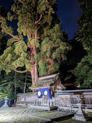 若狭姫神社の参拝記録(こうじさん)