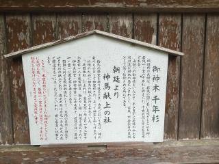 若狭姫神社の参拝記録(色々カピバラさん)