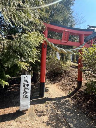鏡山神社（鏡山稲荷神社）の参拝記録(りんさん)