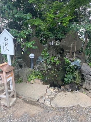 祓戸大神の参拝記録(⛩️🐍🐢まめ🐢🐍⛩️さん)