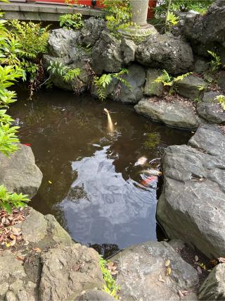 厳島神社(弁天さま)の参拝記録(⛩️🎠🐢まめ🐢🎠⛩️さん)