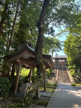 松江城山稲荷神社の参拝記録(たくさん)