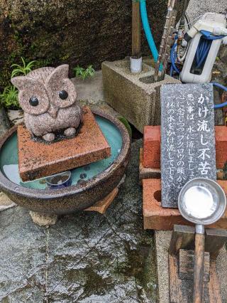 到津八幡神社の参拝記録(こまいぬおさん)