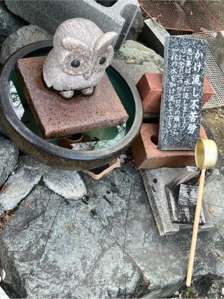 到津八幡神社の参拝記録(てんさん)