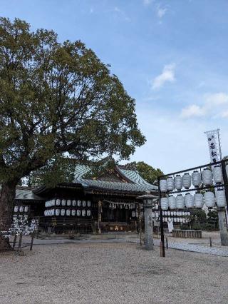 若松恵比須神社の参拝記録(こまいぬおさん)