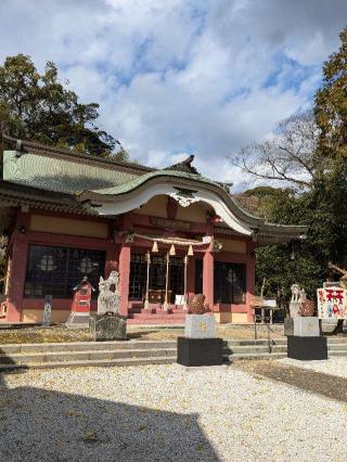 綿都美神社の参拝記録(こまいぬおさん)