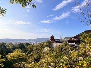 京都地主神社の参拝記録(練乳いちご@ぷかぷかさん)