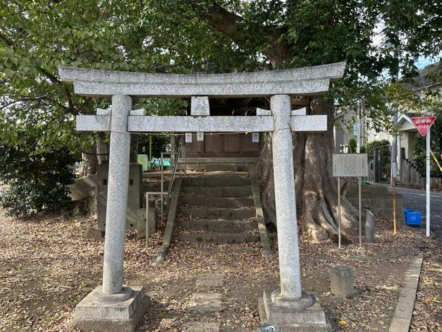 喜多見須賀神社の参拝記録4