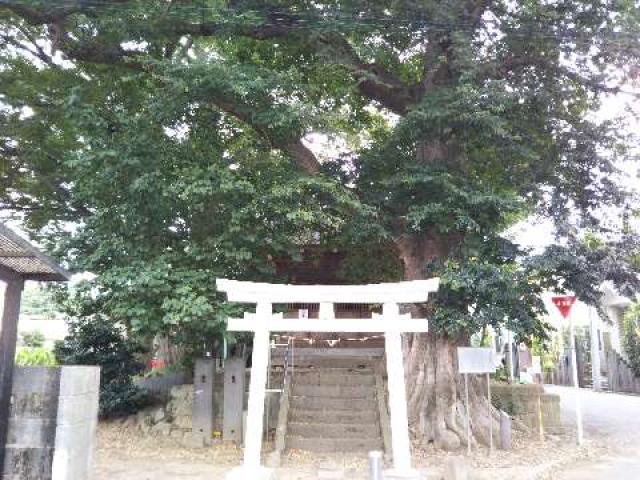 東京都世田谷区喜多見4-3-23 喜多見須賀神社の写真1