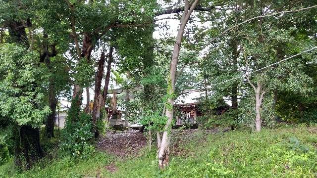 東京都世田谷区大蔵6-6-7 大蔵氷川神社の写真12