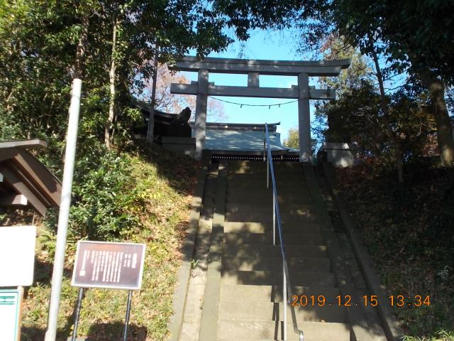 東京都世田谷区大蔵6-6-7 大蔵氷川神社の写真3