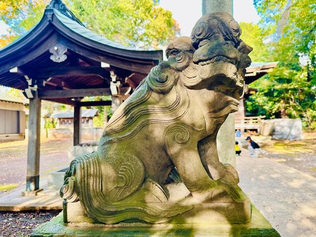 大蔵氷川神社の参拝記録4