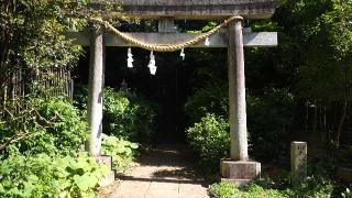岡本八幡神社の参拝記録(まっちゃんさん)