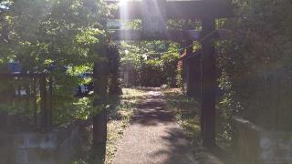玉川諏訪神社（諏訪大明神）の参拝記録(まっちゃんさん)