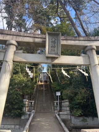 田園調布八幡神社の参拝記録(⛩️🐉🐢まめ🐢🐉⛩️さん)