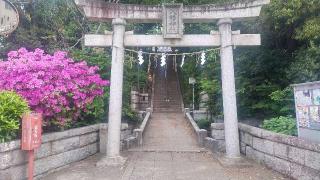 田園調布八幡神社の参拝記録(まっちゃんさん)