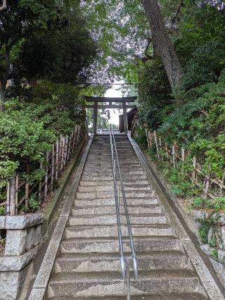 田園調布八幡神社の参拝記録(はくすみさん)