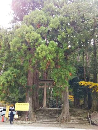 飛瀧神社（熊野那智大社別宮）の参拝記録(天地悠久さん)