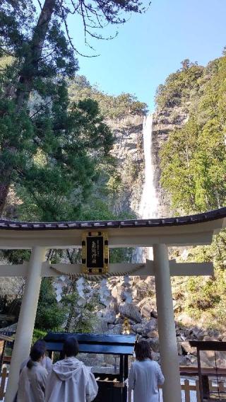飛瀧神社（熊野那智大社別宮）の参拝記録(のとゆささん)