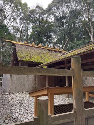 荒祭宮〔内宮（皇大神宮）別宮〕の参拝記録(⛩️🎠🐢まめ🐢🎠⛩️さん)