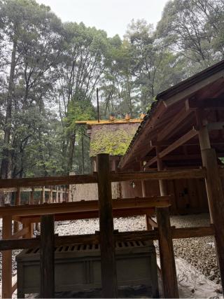 荒祭宮〔内宮（皇大神宮）別宮〕の参拝記録(⛩️🎠🐢まめ🐢🎠⛩️さん)