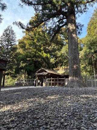 瀧原竝宮(瀧原宮)〔内宮（皇大神宮）別宮〕の参拝記録(⛩️🎠🐢まめ🐢🎠⛩️さん)