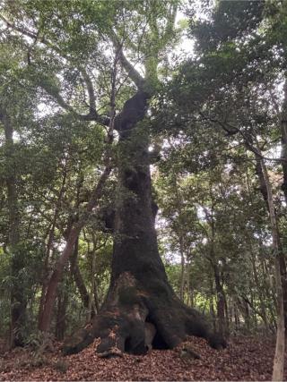 風日祈宮〔内宮（皇大神宮）別宮〕の参拝記録(マ🌸ノさん)