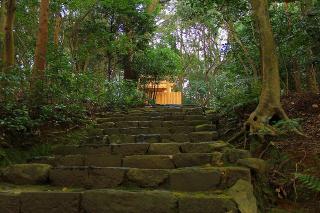 宇治山田神社の参拝記録(龍水さん)