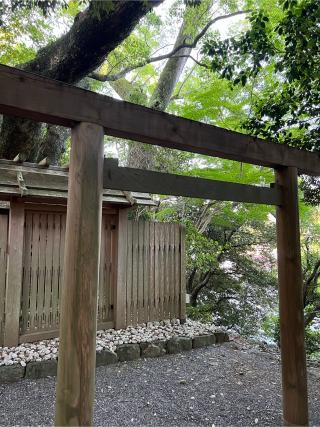 大水神社の参拝記録(⛩️🎠🐢まめ🐢🎠⛩️さん)