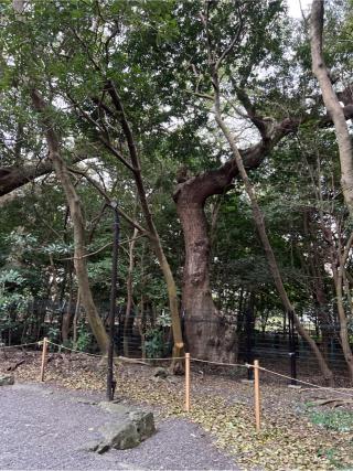 高河原神社(月夜見宮)〔外宮（豊受大神宮）摂社〕の参拝記録(⛩️🐍🐢まめ🐢🐍⛩️さん)