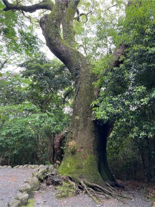 葭原神社(月読宮)（内宮（皇大神宮）末社）の参拝記録(⛩️🎠🐢まめ🐢🎠⛩️さん)