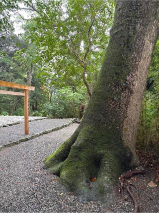 葭原神社(月読宮)（内宮（皇大神宮）末社）の参拝記録(⛩️🎠🐢まめ🐢🎠⛩️さん)