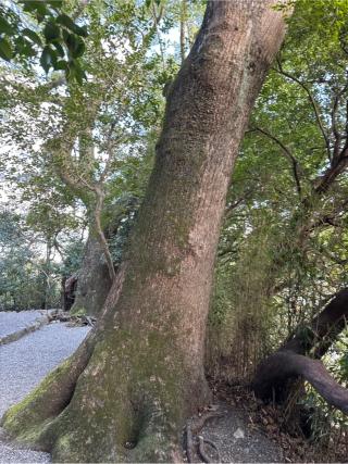 葭原神社(月読宮)（内宮（皇大神宮）末社）の参拝記録(⛩️🎠🐢まめ🐢🎠⛩️さん)