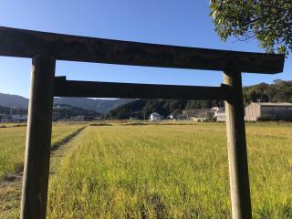 加努弥神社の参拝記録(じゃすてぃさん)