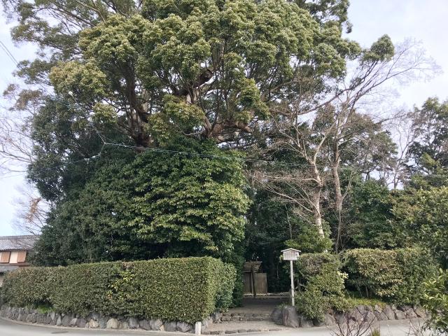 縣神社の参拝記録3