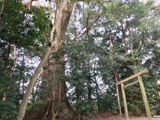 縣神社の参拝記録(じゃすてぃさん)