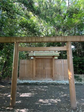 縣神社の参拝記録(⛩️🐍🐢まめ🐢🐍⛩️さん)