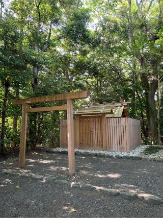 縣神社の参拝記録(⛩️🐍🐢まめ🐢🐍⛩️さん)