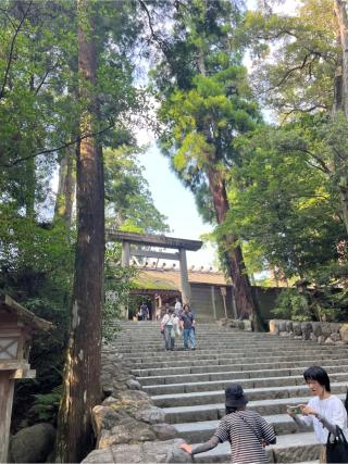 宮比神の参拝記録(⛩️🎠🐢まめ🐢🎠⛩️さん)