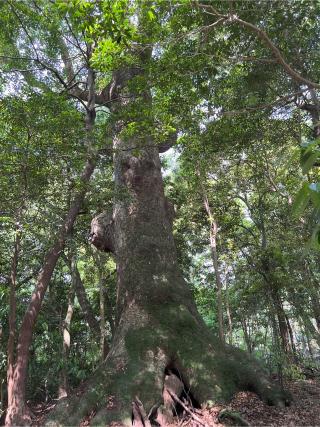 上御井神社(外宮)の参拝記録(⛩️🐍🐢まめ🐢🐍⛩️さん)