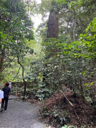 下御井神社〔外宮（豊受大神宮）所管社〕の参拝記録(⛩️🎠🐢まめ🐢🎠⛩️さん)