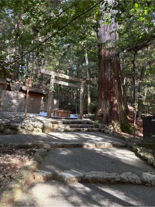 若宮神社〔瀧原宮所管社〕の参拝記録(⛩️🎠🐢まめ🐢🎠⛩️さん)