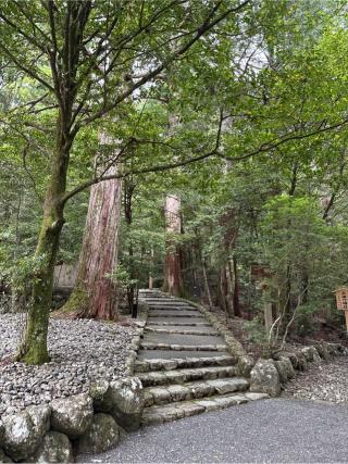 若宮神社〔瀧原宮所管社〕の参拝記録(⛩️🎠🐢まめ🐢🎠⛩️さん)