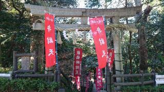 厳島神社（弁天社）の参拝記録(ロビンさん)
