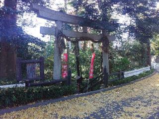 厳島神社（弁天社）の参拝記録(しんのすけさん)